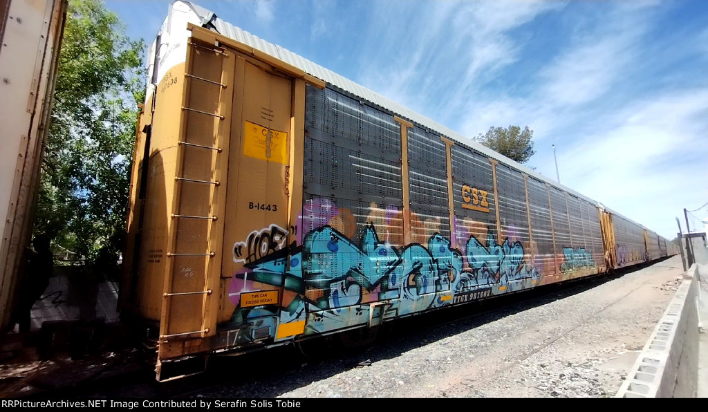 CSX B1443 TTGX 987608 Con Grafiti 